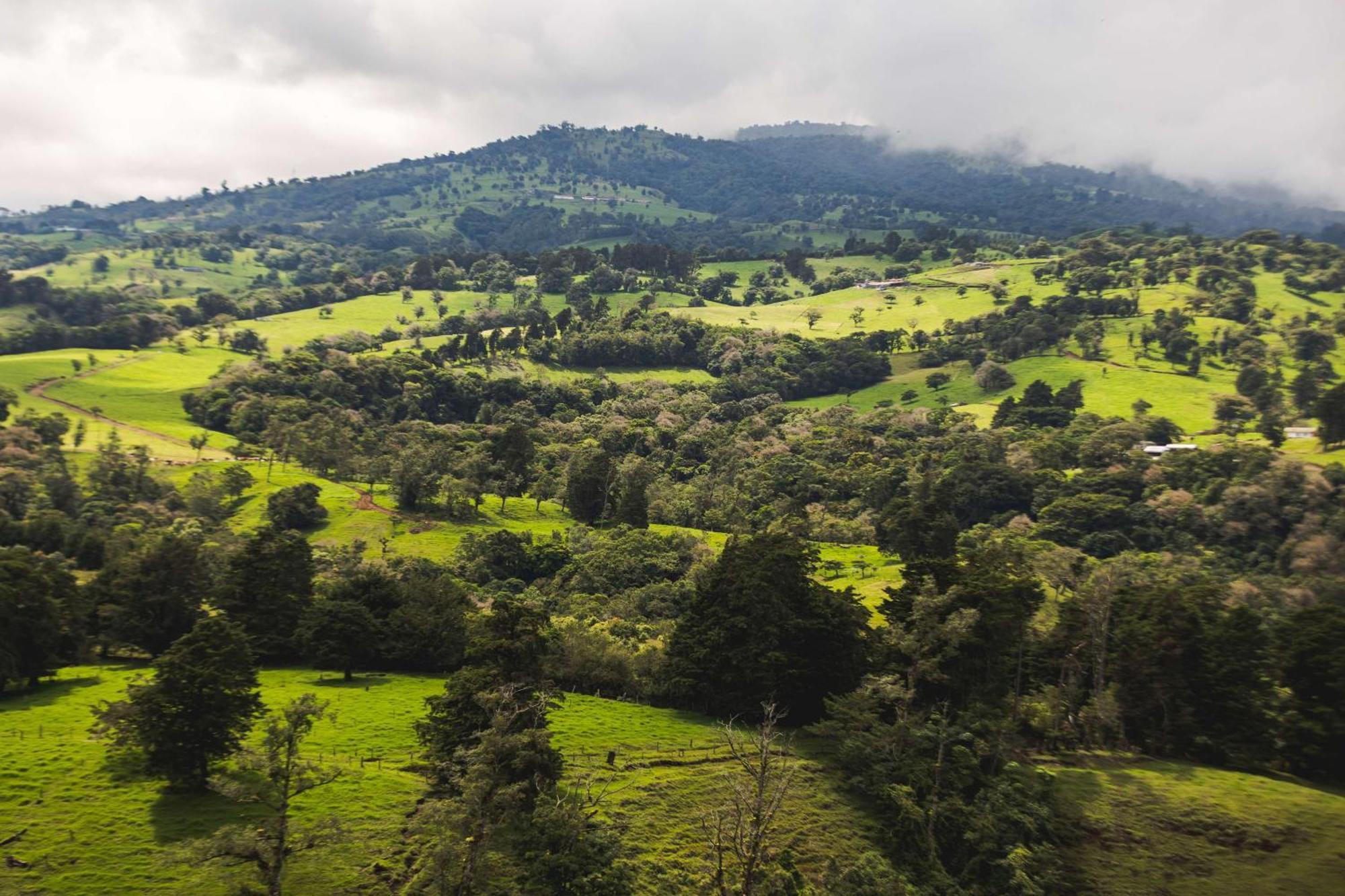 Hotel Hyatt Centric San Jose Escazu Zewnętrze zdjęcie