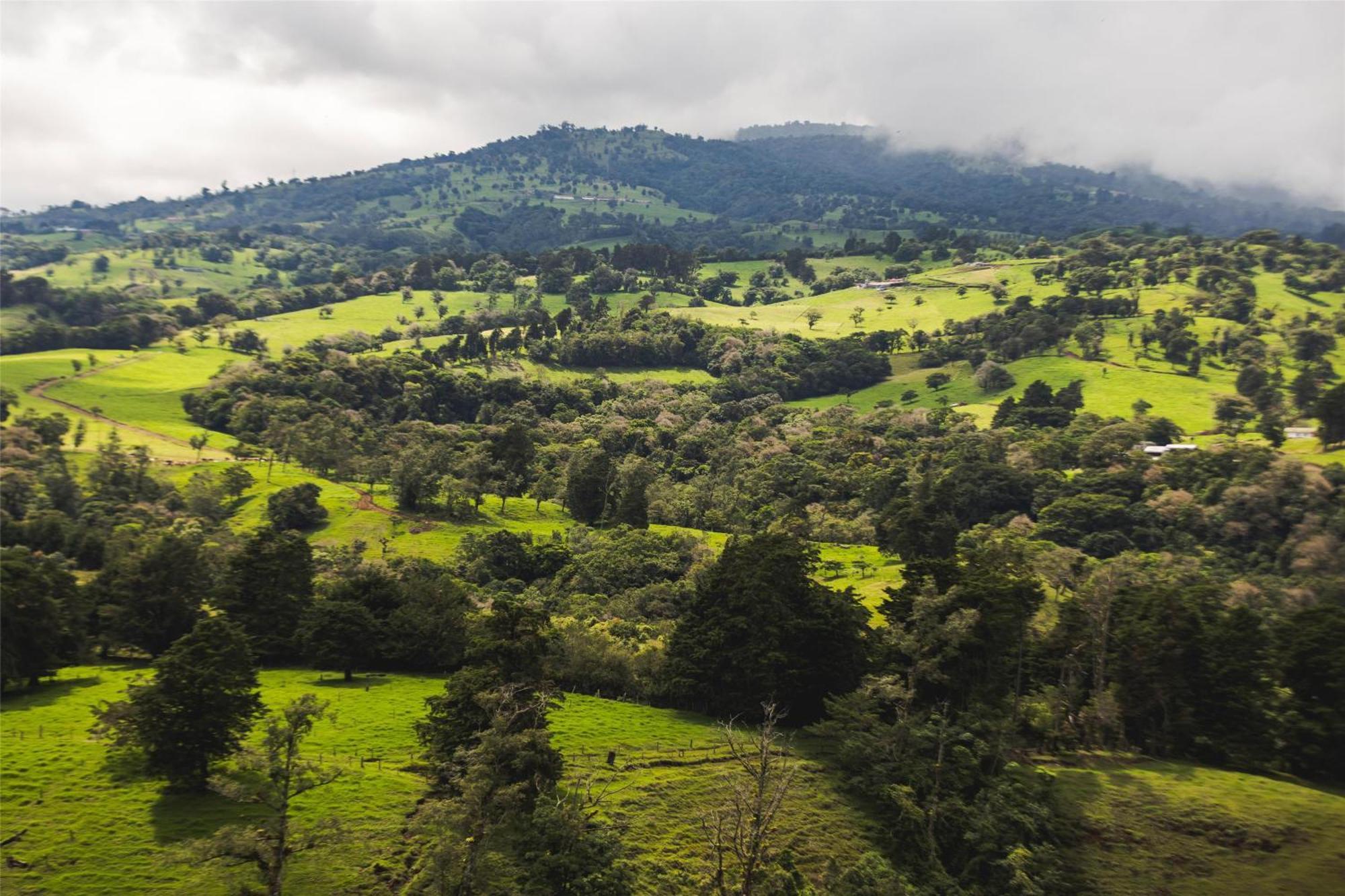 Hotel Hyatt Centric San Jose Escazu Zewnętrze zdjęcie